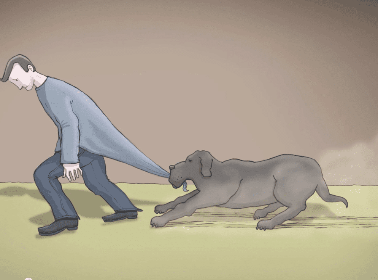 Черная собака депрессия. I have black dog. I have black dog. Стихотворение my dog. I have black dog.