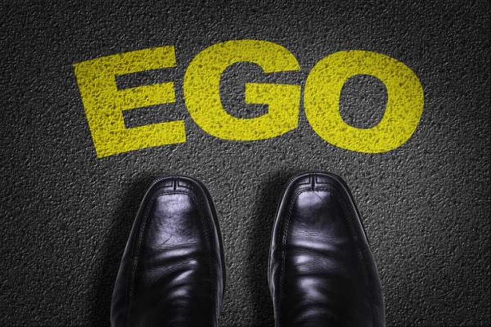 Pozitivní egoismus a negativní definice a příklady / Osobnost