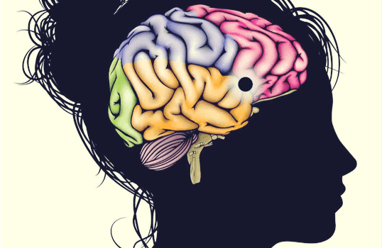 Пищевой центр в мозге. Мозг удовольствие. Мозг женщины. Мозг картинки мультяшные.
